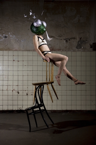 Insekten Lisa Montiert (1)