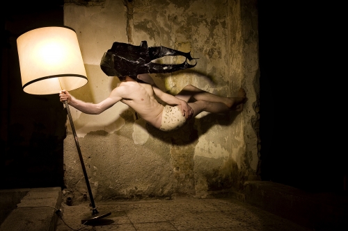 Insekten Stefan Montiert (1)